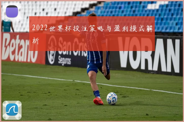 2022世界杯投注策略与盈利模式解析