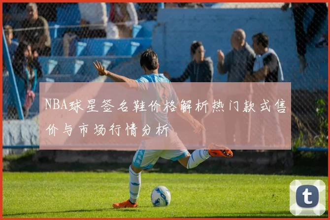 NBA球星签名鞋价格解析热门款式售价与市场行情分析