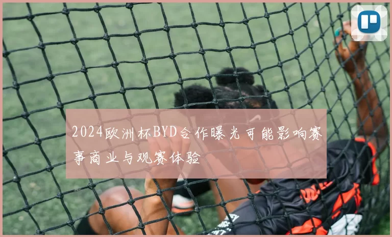 2024欧洲杯BYD合作曝光可能影响赛事商业与观赛体验