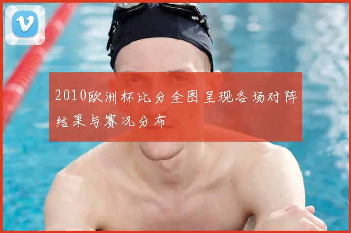 2010欧洲杯比分全图呈现各场对阵结果与赛况分布