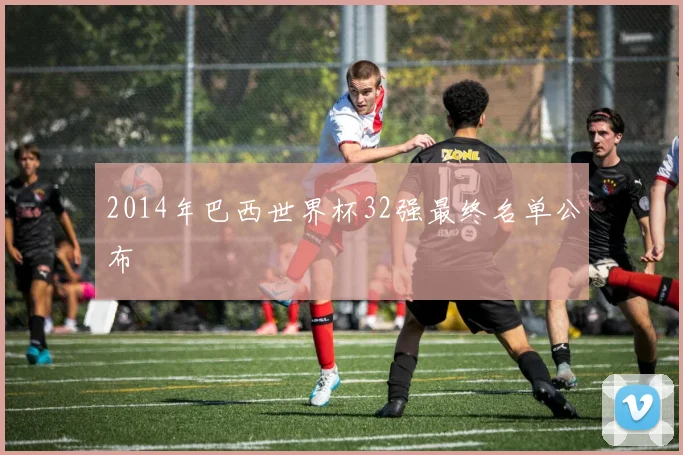 2014年巴西世界杯32强最终名单公布