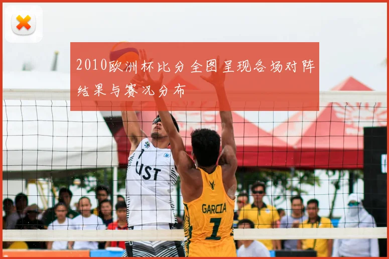2010欧洲杯比分全图呈现各场对阵结果与赛况分布
