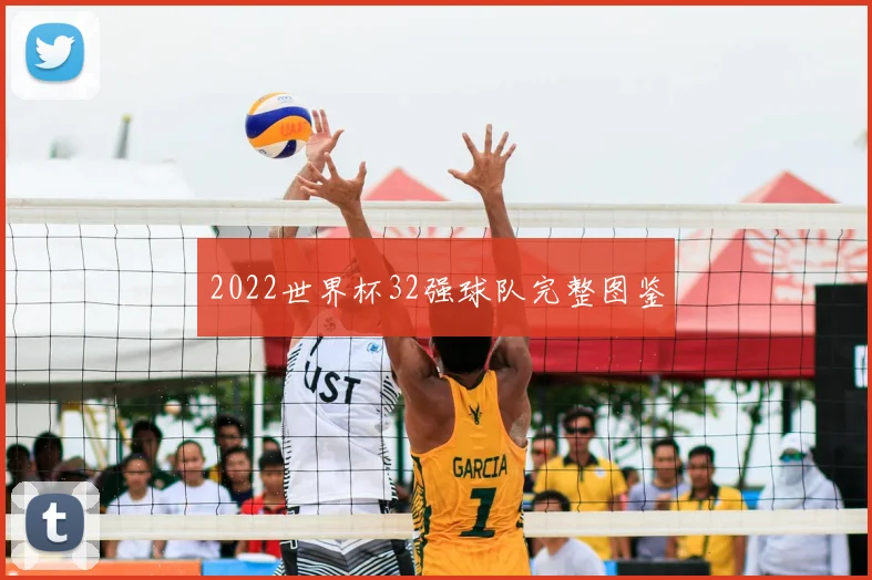 2022世界杯32强球队完整图鉴
