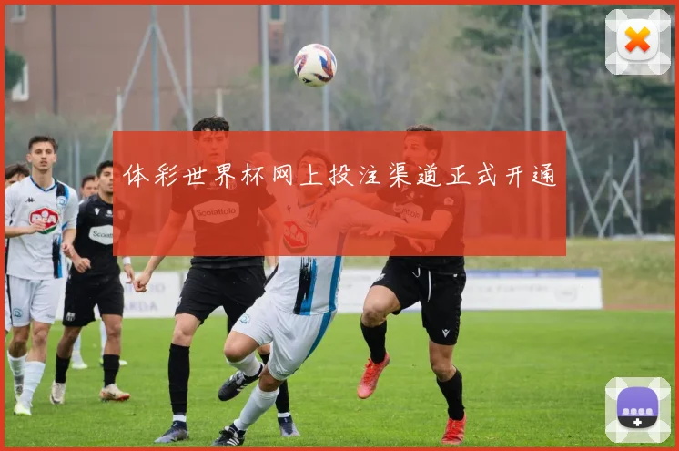 体彩世界杯网上投注渠道正式开通