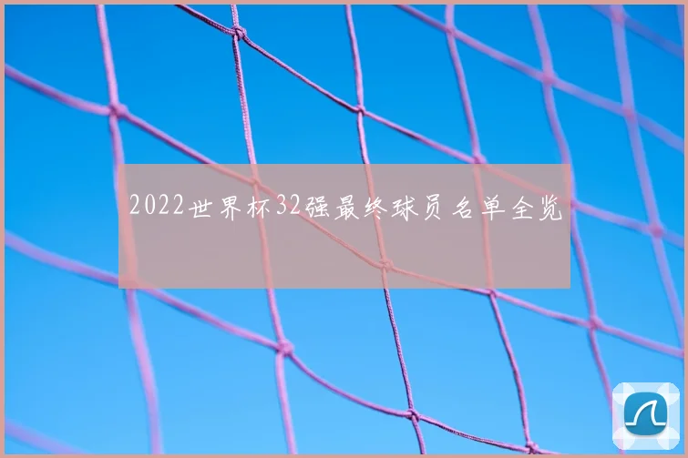 2022世界杯32强最终球员名单全览