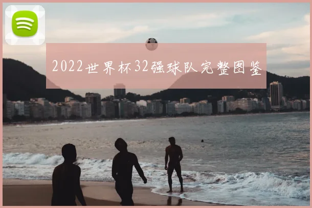 2022世界杯32强球队完整图鉴